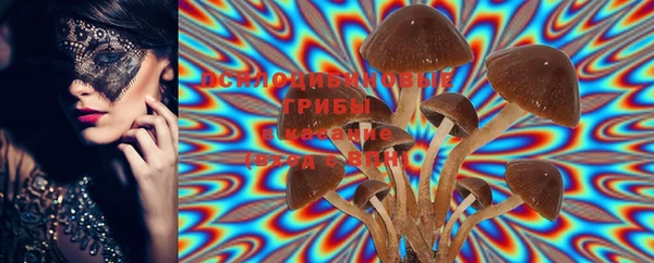МДМА Горняк