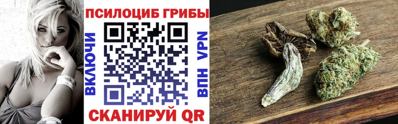 Псилоцибиновые грибы прущие грибы  Купить закладки  Калач-на-Дону 